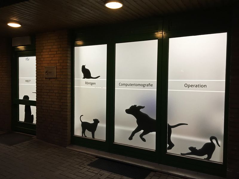 Beleuchtete Fensterfront einer Tierarztpraxis im Dunkeln