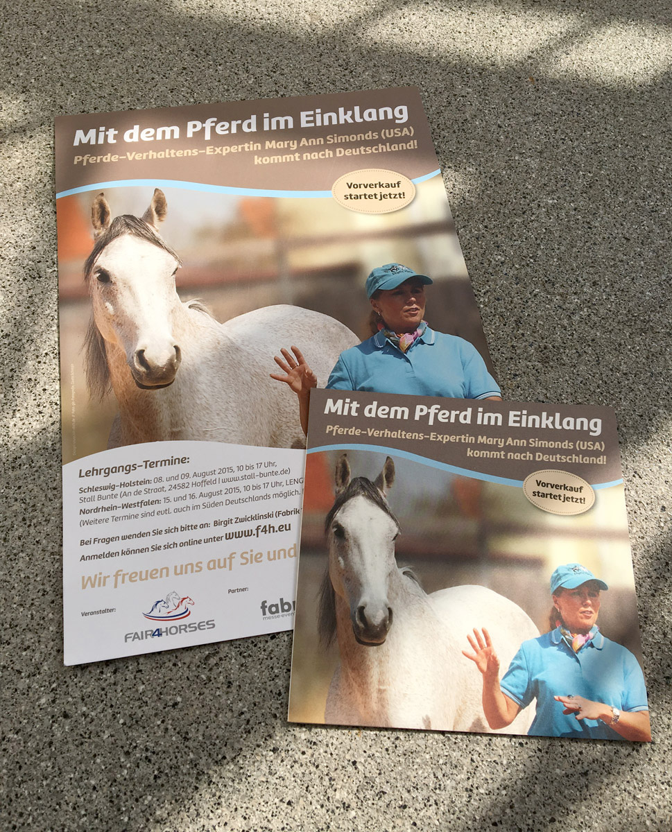 Plakat und Flyer für einen Lehrgang "Mit dem Pferd in Einklang"